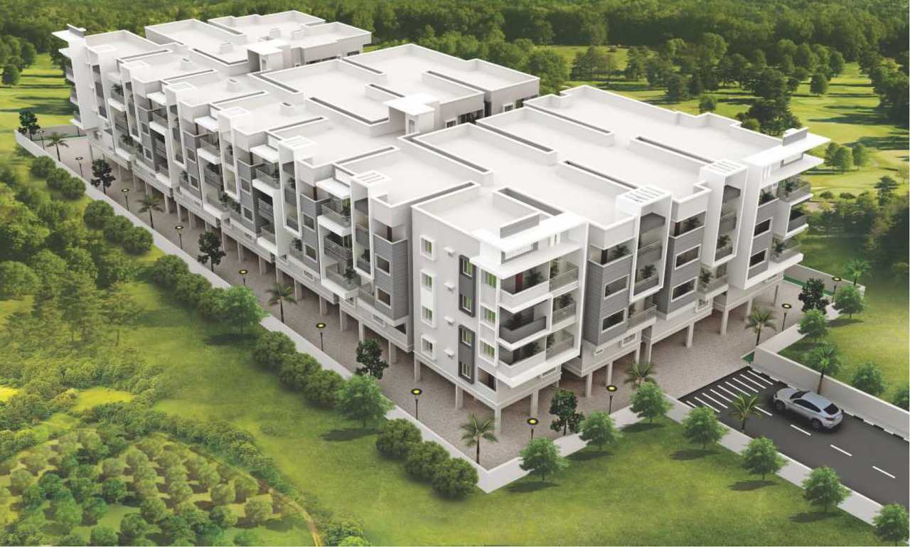 Eustoma Serenity Gardens