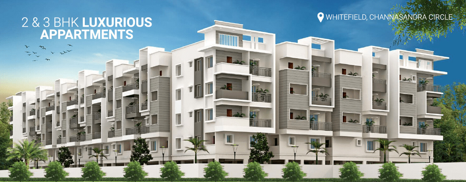 Eustoma Serenity Gardens